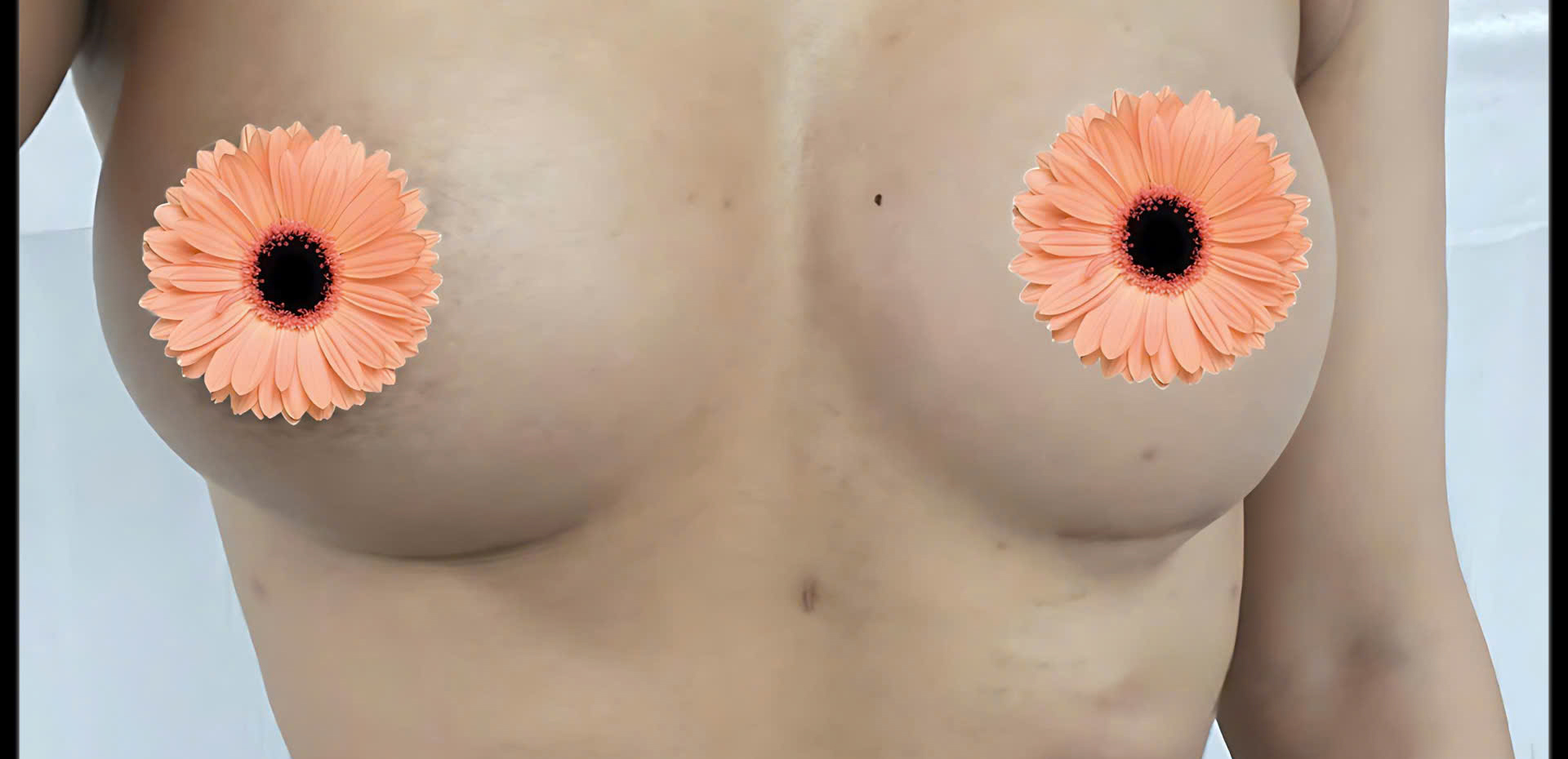 z7636294620003 36f62b169c44bb37ea1c82446a2eb3e2