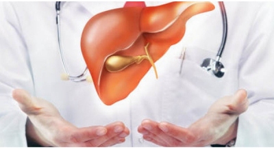 Giải độc cho gan: Giả thiết & sự thật