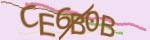 Mã bảo mật